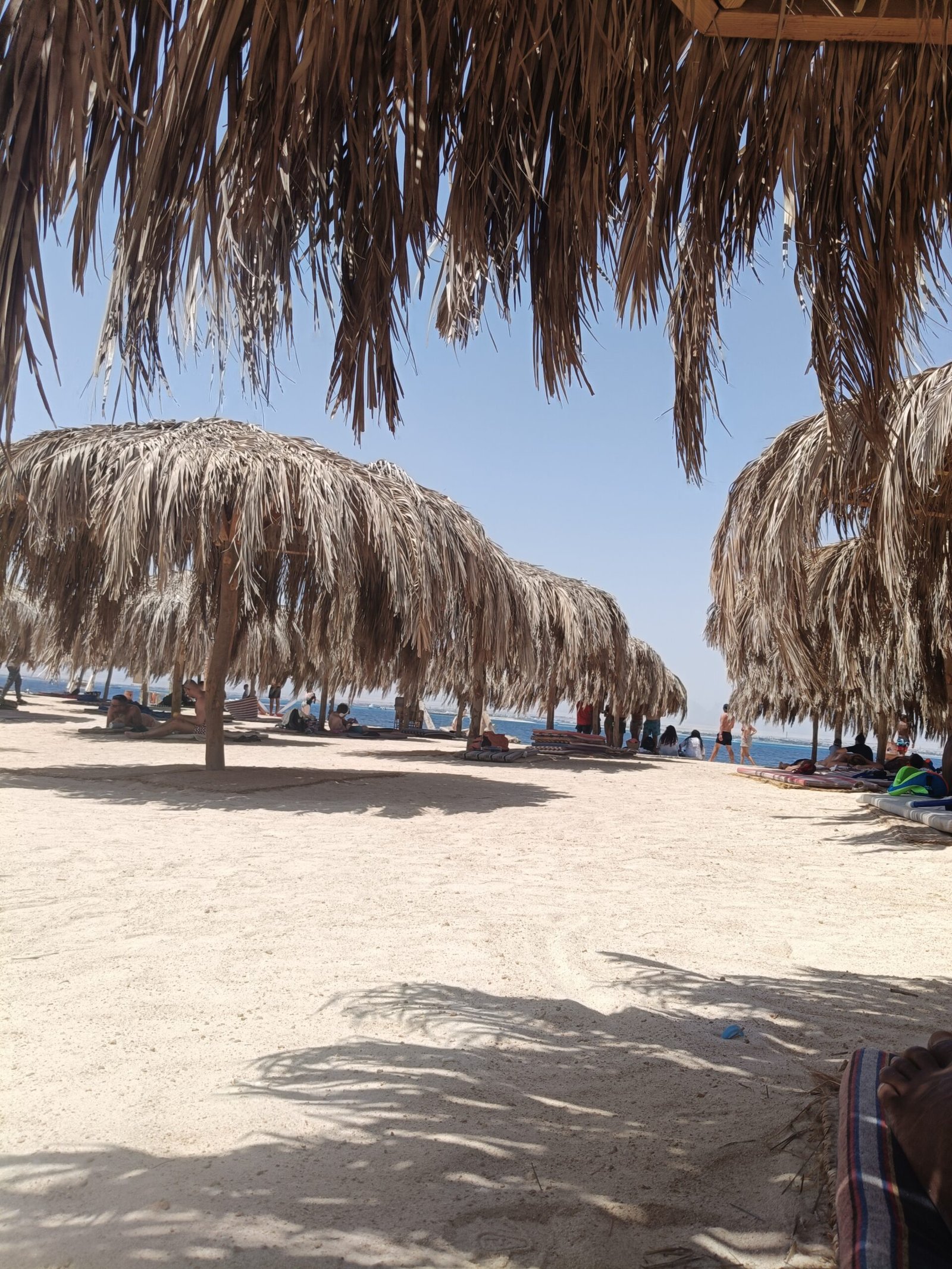 IMG20250819115500 IMG20250819115500