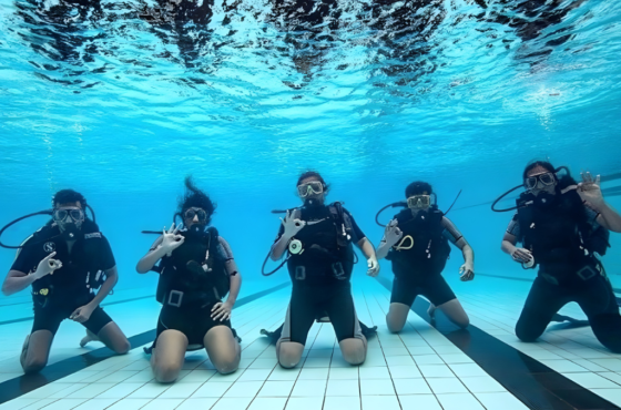 PADI Open Water Diver Course